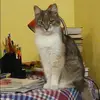 Отзыв от Лилия Корнева